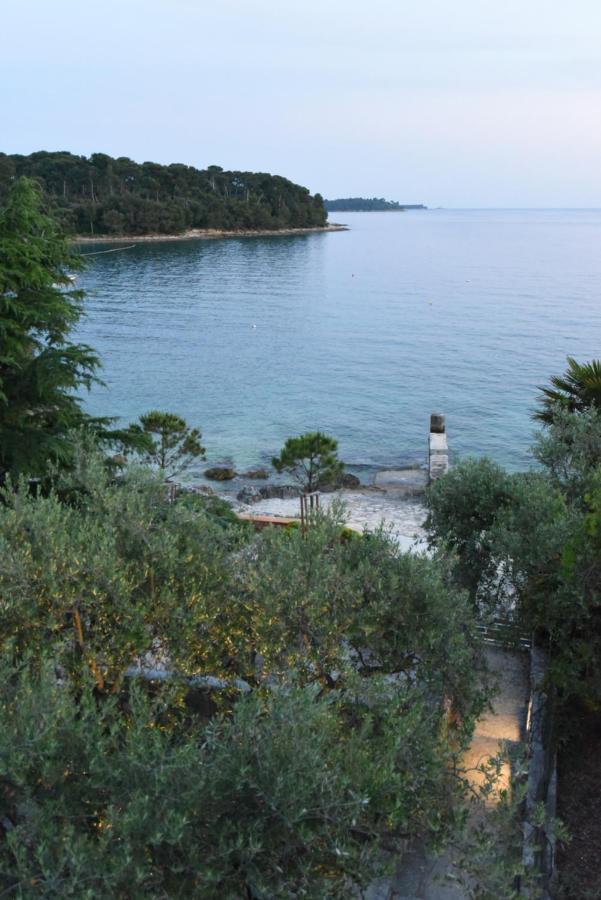Buric House - M Suite - 95M2 And 54 M2 Terrace Rovinj Kültér fotó